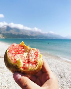 Close-up of hand holding pomegranate against sea
