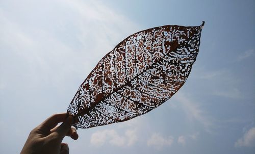 Low angle view of person holding umbrella against sky