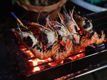 Close-up of meat on barbecue grill