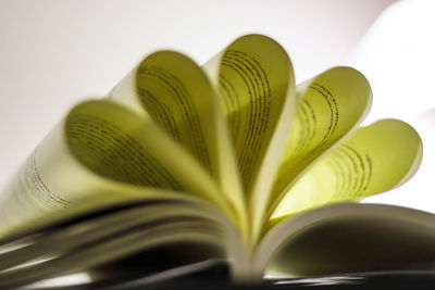 Close-up of heart shape on book against white background