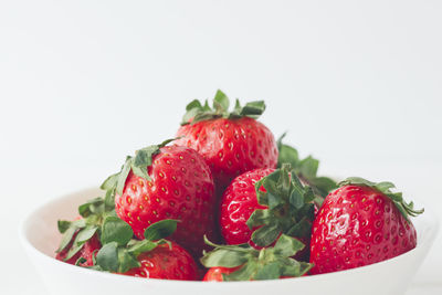 Close-up of strawberries in plate against white background