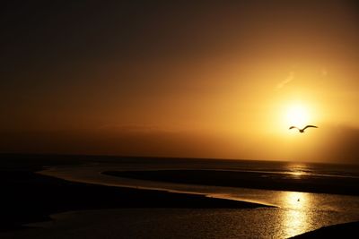 Silhouette bird flying over sea against sky during sunset