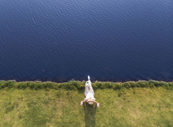 Picture from drone. young woman in white dress sitting on the grass on the shore edge near the sea. 