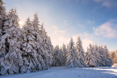 Winter landscape of the mountain.