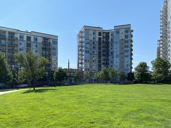 Park by buildings against sky in city