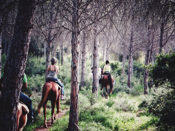 People horse riding in forest
