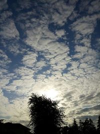 Low angle view of trees against cloudy sky