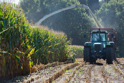 Combine harvester harvesting in farm