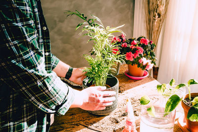 Young man while taking care of small kentia plant on rustic wooden table with various accessories