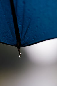 Close-up of raindrops on blue water