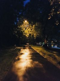 Street amidst trees at night