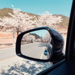 Road seen through side-view mirror of car