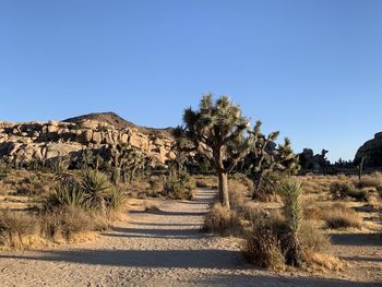 Scenic view of landscape against clear blue sky