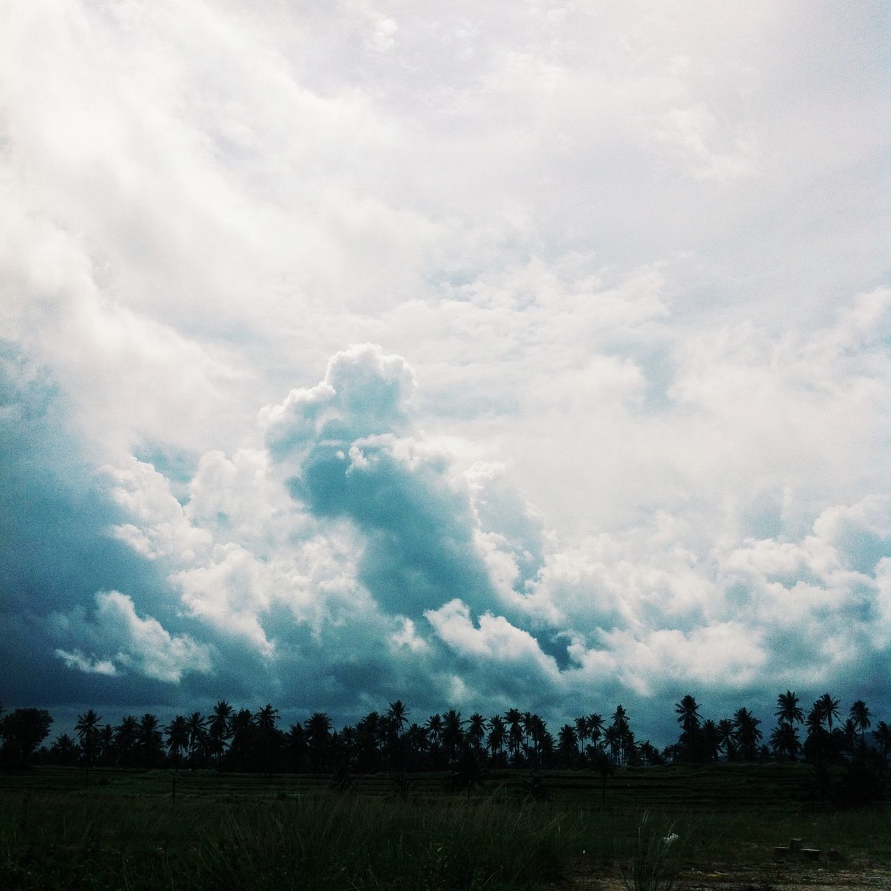 sky, tranquility, tranquil scene, scenics, beauty in nature, cloud - sky, nature, landscape, water, tree, cloudy, idyllic, growth, cloud, day, field, outdoors, no people, weather, non-urban scene