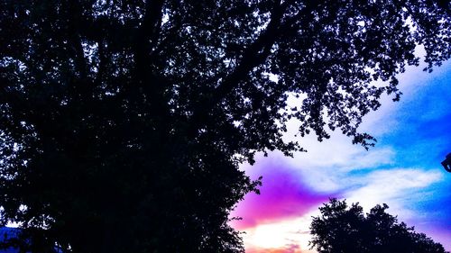 Low angle view of trees against blue sky