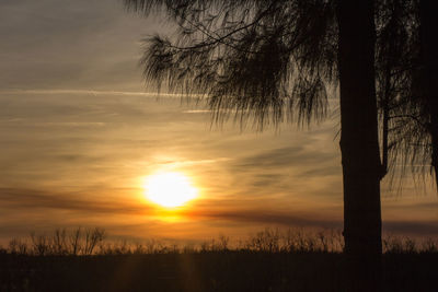 Silhouette trees against sky during sunset