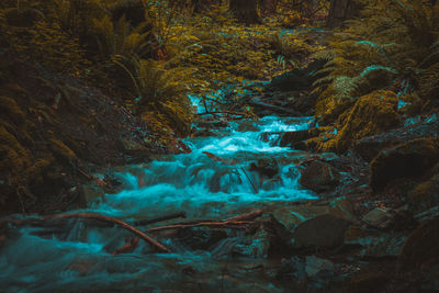 Waterfall on the mountain stream in the forest. clicked in canada.