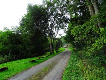 Empty road amidst trees against sky