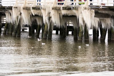 Panoramic shot of water