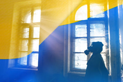 Rear view of silhouette woman standing on window