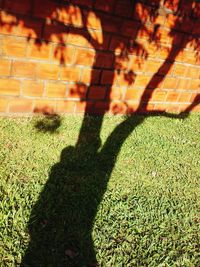 Shadow of man on grass