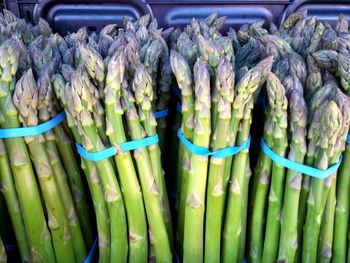 Close-up of asparagus bunches at market stall