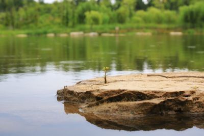 Scenic view of lake