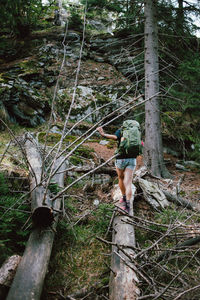 Rear view of woman walking on footpath in forest