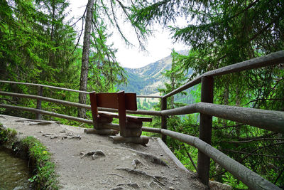 Scenic view of mountains in forest