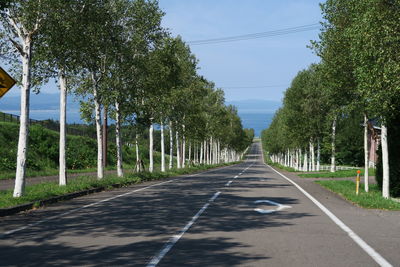 Road amidst trees against sky