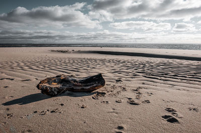 Surface level of driftwood on beach against sky