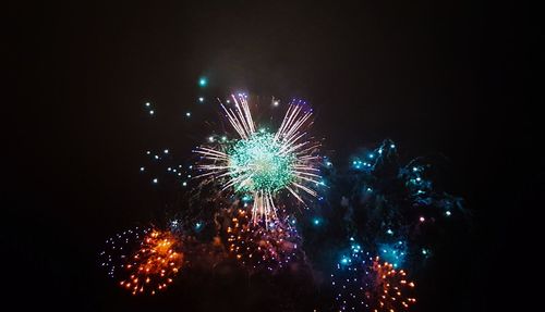 Low angle view of firework display against sky at night