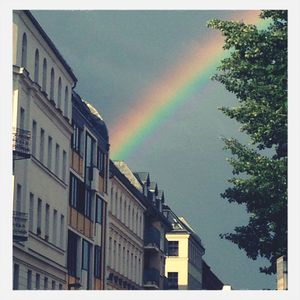 Low angle view of rainbow over trees