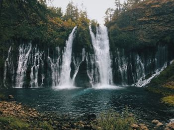 Scenic view of waterfall in forest