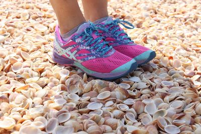 Low section of man wearing shoes standing on seashells