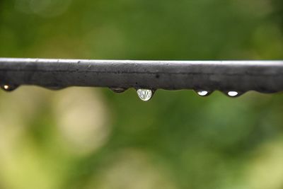 Close-up of raindrops on metal