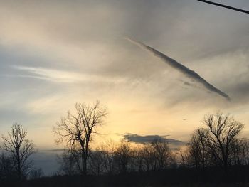 Silhouette bare tree against sky during sunset