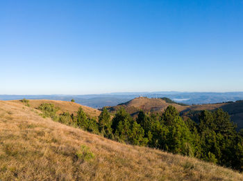 Scenic view of landscape against clear blue sky