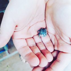 Close-up of human hand