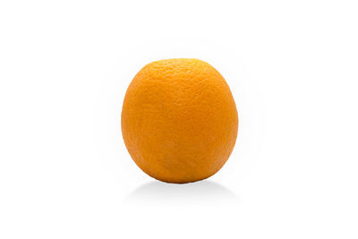 Close-up of orange against white background