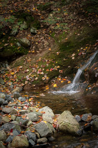 Stream flowing through rocks in forest