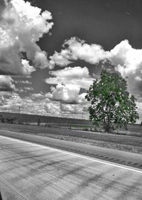 Road with trees in background