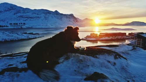 Snow covered mountain at sunset