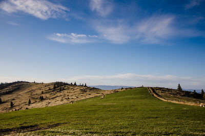 Scenic view of agricultural landscape against sky