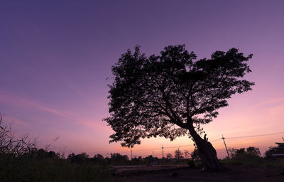 Silhouette tree on field against sky during sunset