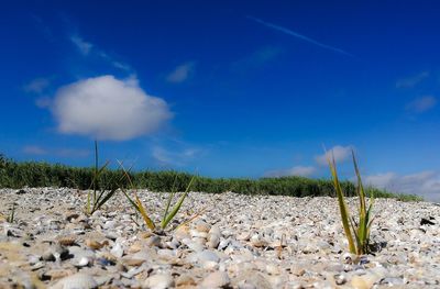 Scenic view of land against blue sky