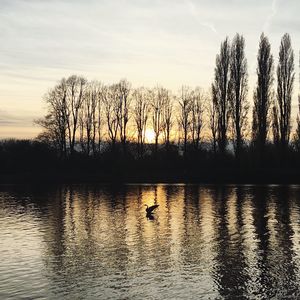 Silhouette trees by lake against sky during sunset