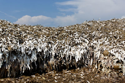 Scenic view of snow covered land against sky