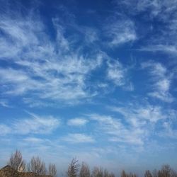 Low angle view of trees against cloudy sky