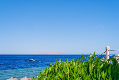 Scenic view of sea against clear blue sky